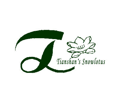 TIANSHAN'S SNOWLOTUS及图形