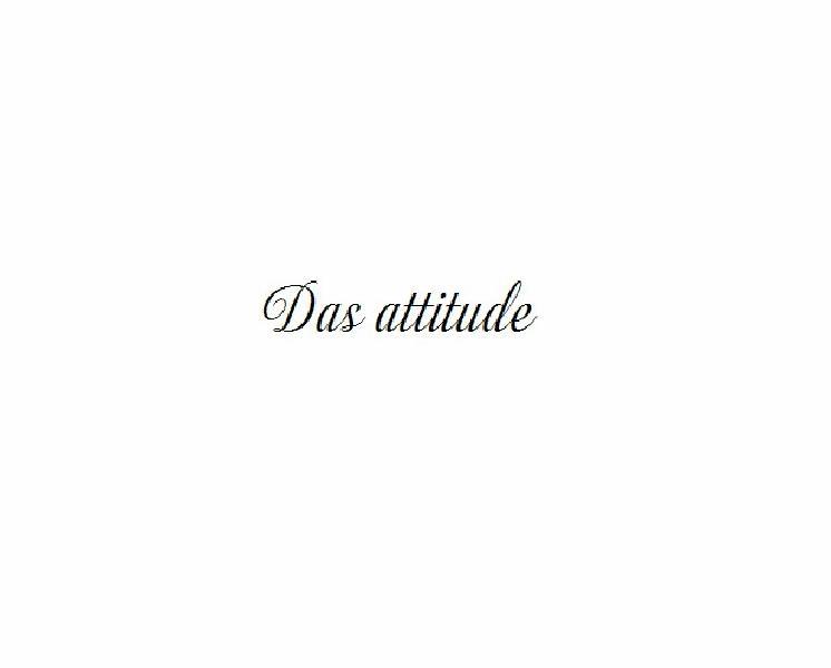 DAS ATTITUDE