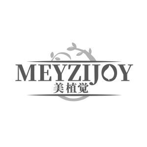 美植觉 MEYZIJOY