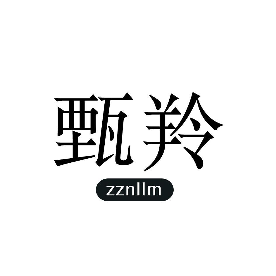 甄羚 ZZNLLM