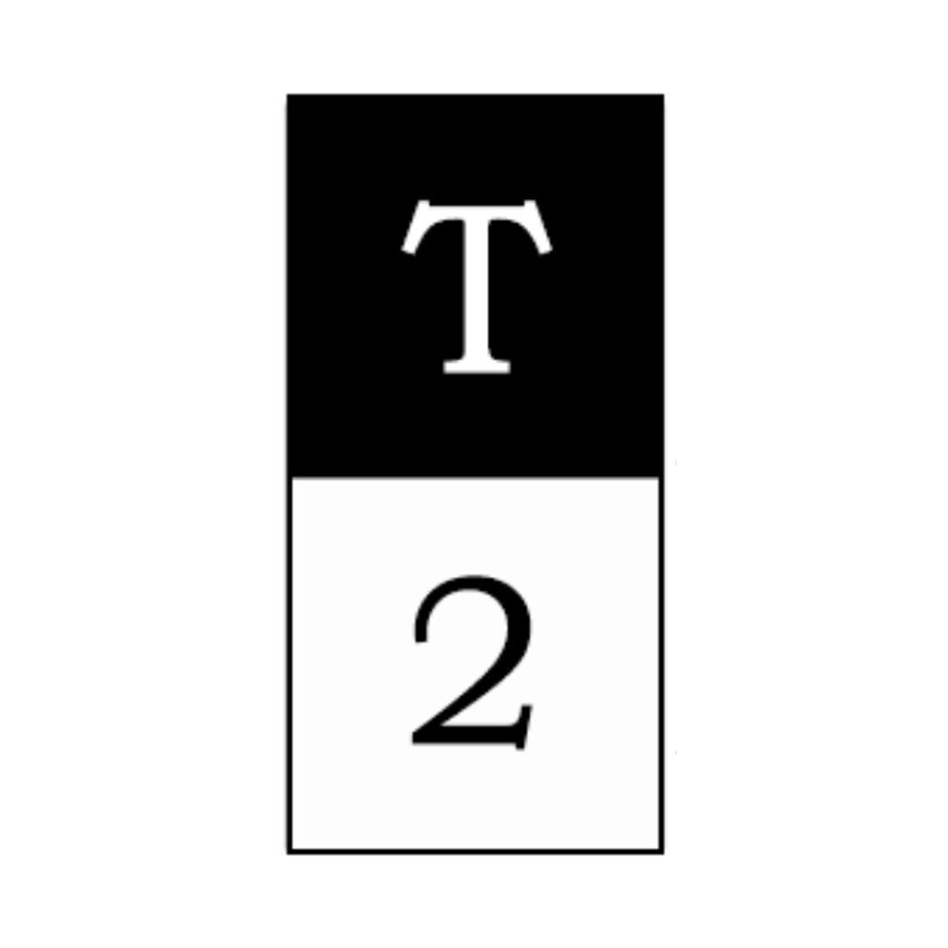 T2