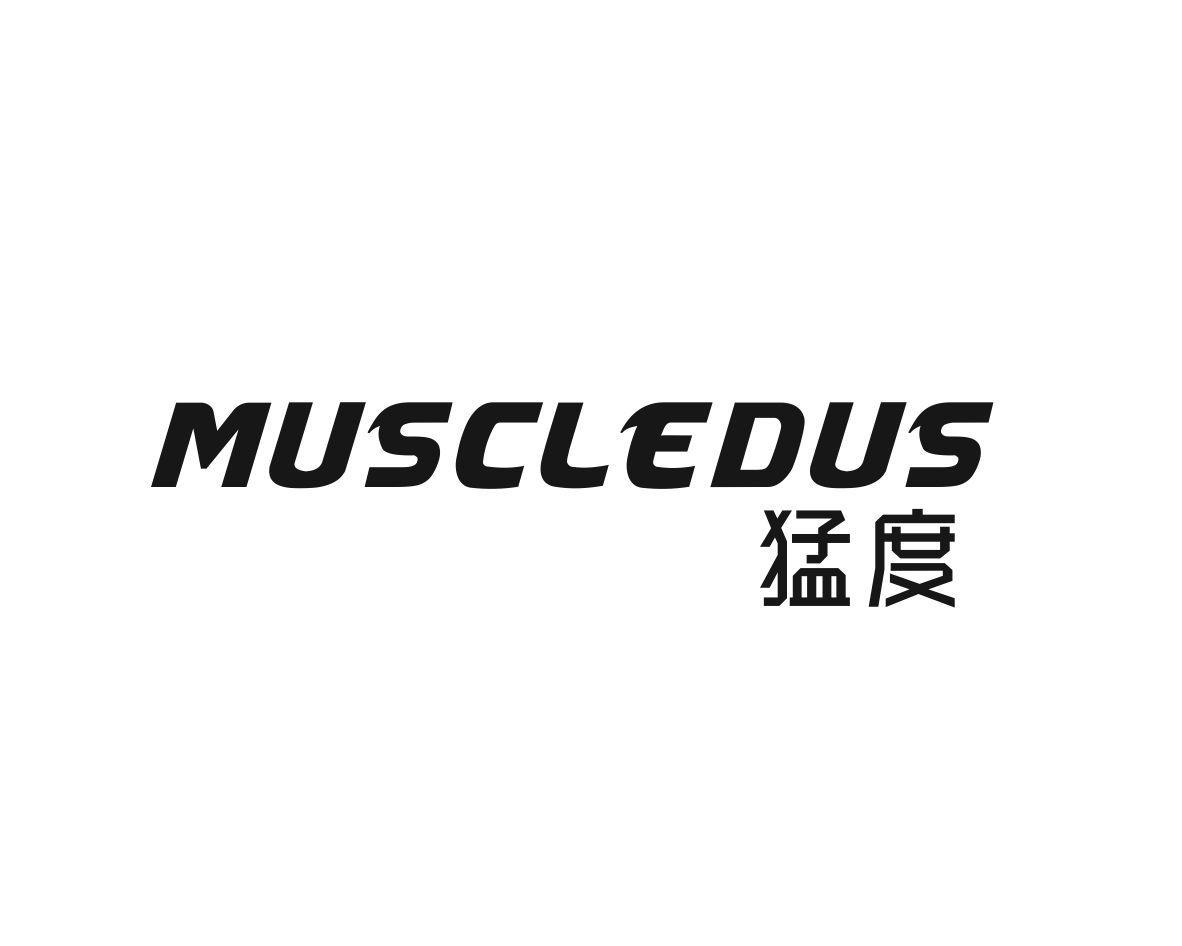 猛度 MUSCLEDUS