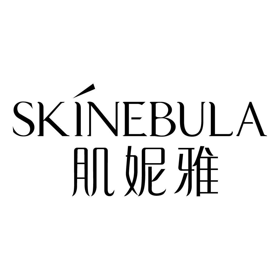 肌妮雅 SKINEBULA