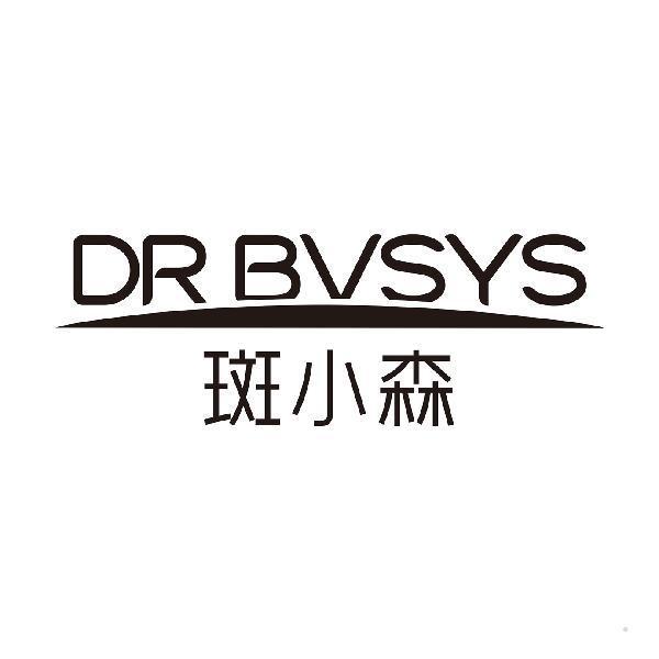 DR BVSYS 斑小森