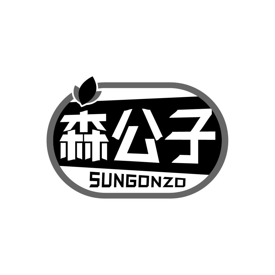 森公子 SUNGONZO