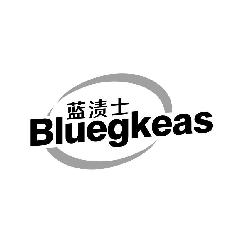 蓝渍士 BLUEGKEAS