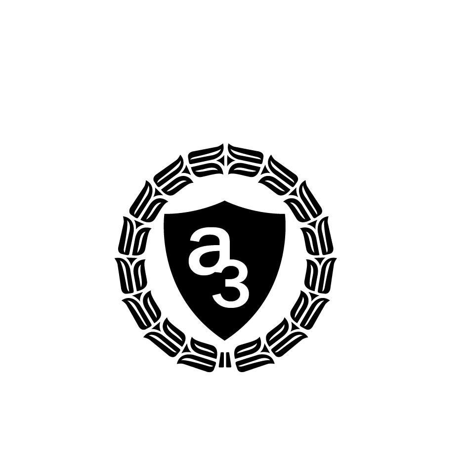 A 3