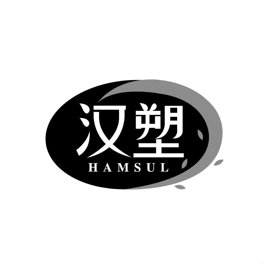汉塑 HAMSUL