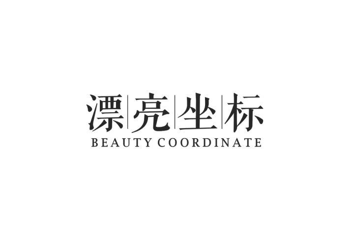 漂亮坐标 BEAUTY COORDINATE