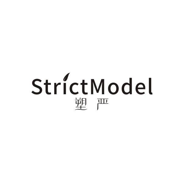 塑严 STRICTMODEL