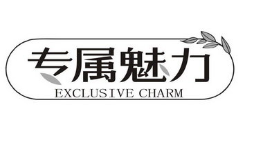 专属魅力 EXCLUSIVE CHARM