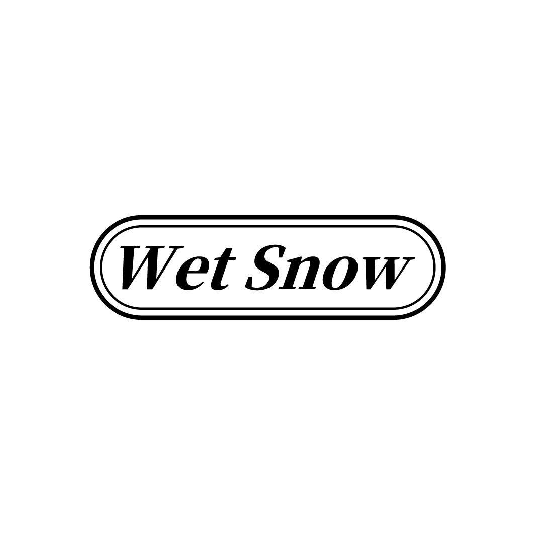 WET SNOW