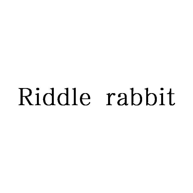 RIDDLE RABBIT