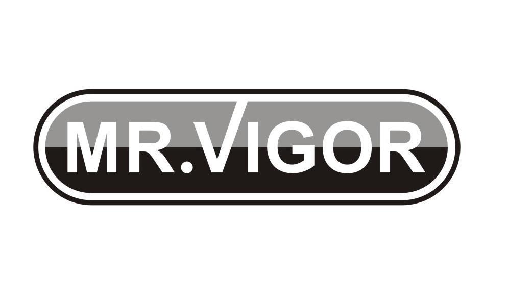 MR.VIGOR