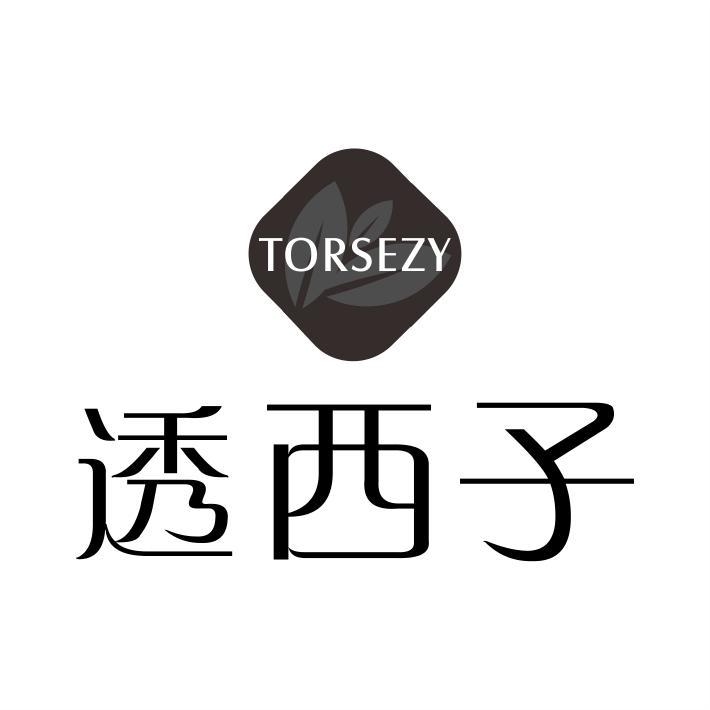 TORSEZY 透西子