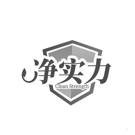 净实力  CLEAN STRENGTH