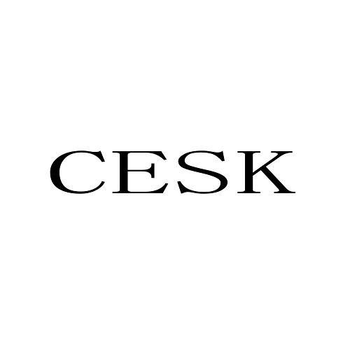 CESK