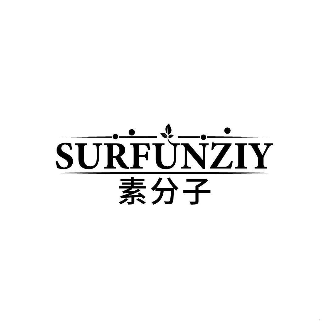 素分子 SURFUNZIY