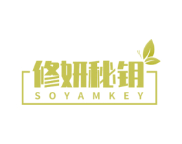 修妍秘钥 SOYAMKEY