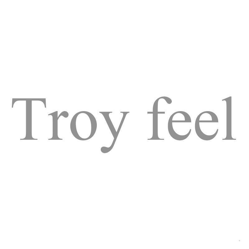 TROY FEEL