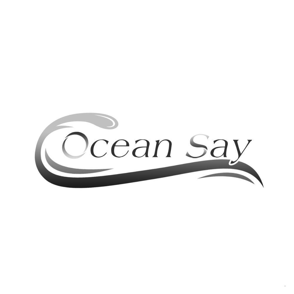 OCEAN SAY