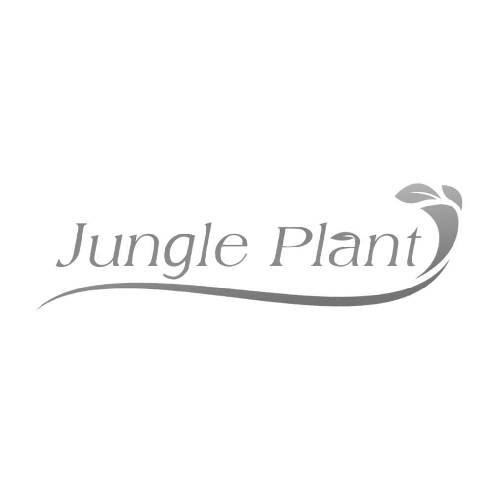 JUNGLE PLANT