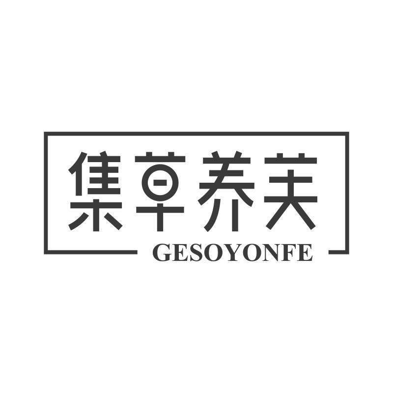 集草养芙 GESOYONFE