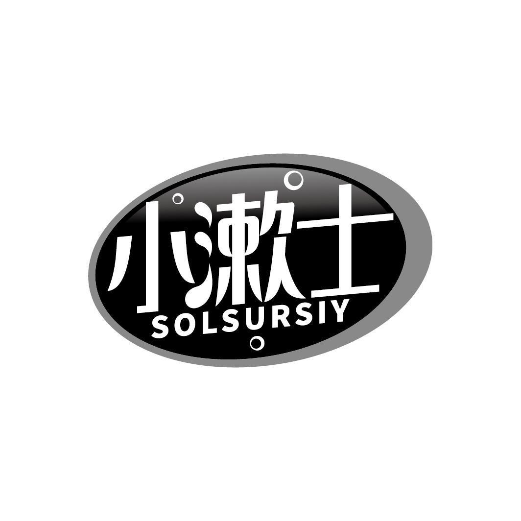 小漱士 SOLSURSIY