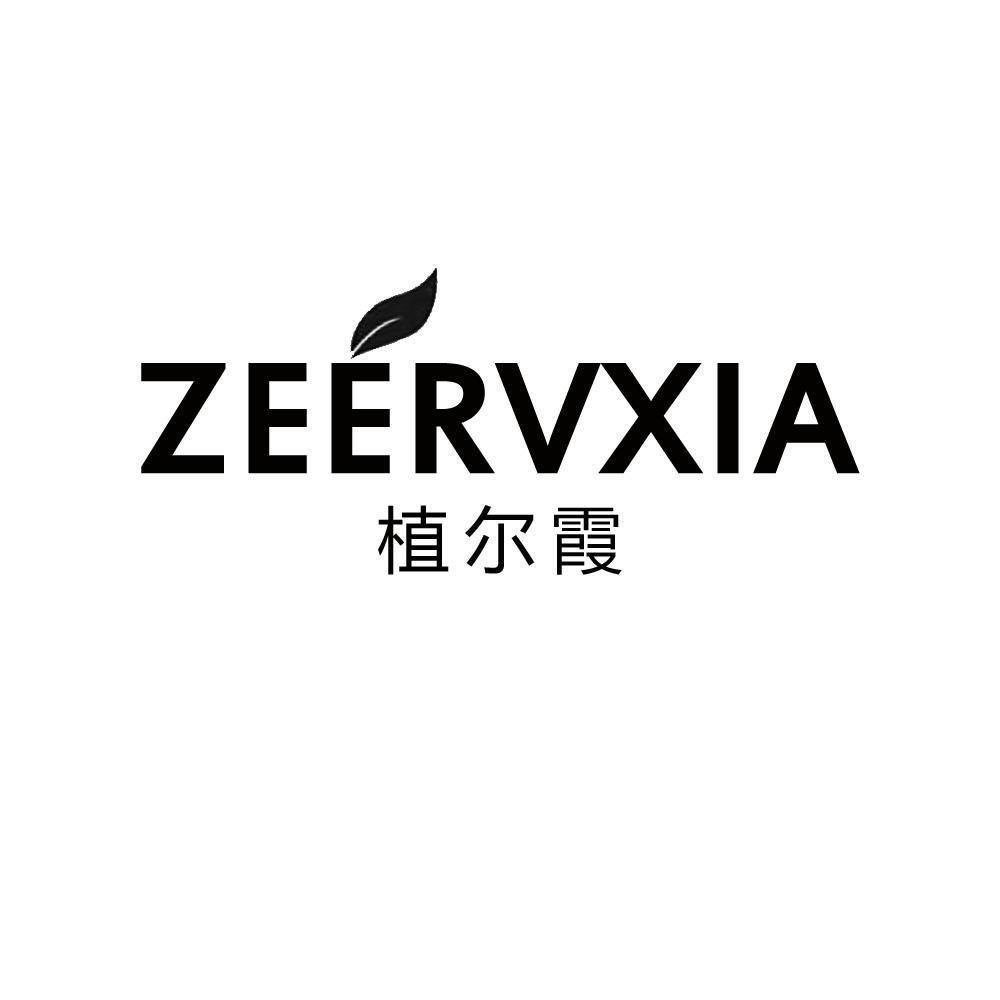 植尔霞 ZEERVXIA