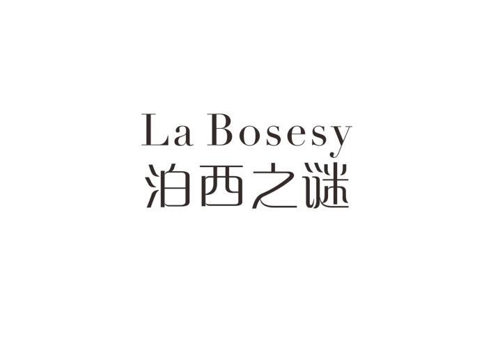 泊西之谜 LA BOSESY