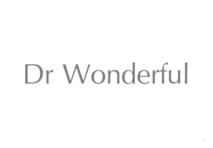 DR WONDERFUL