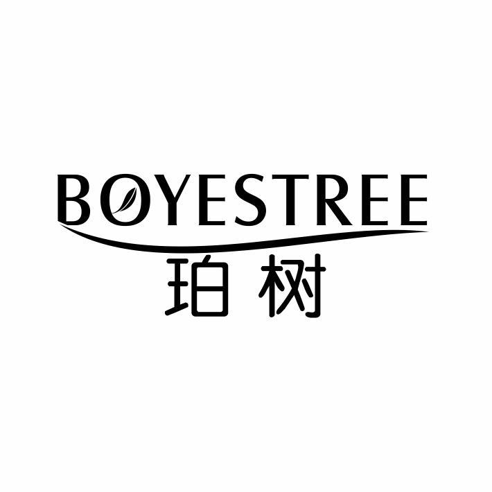 珀树 BOYESTREE