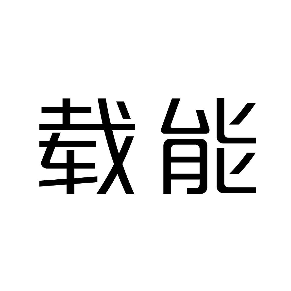 载能