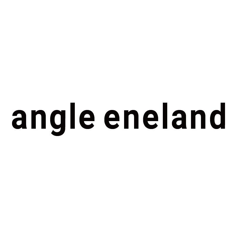 ANGLE ENELAND