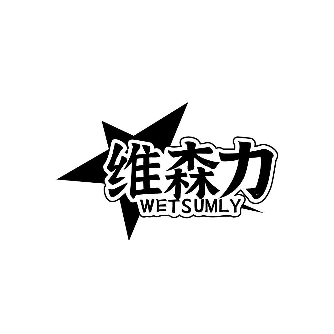 维森力 WETSUMLY