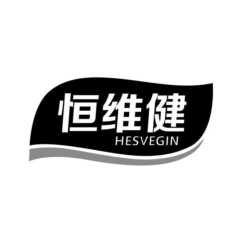 恒维健 HESVEGIN