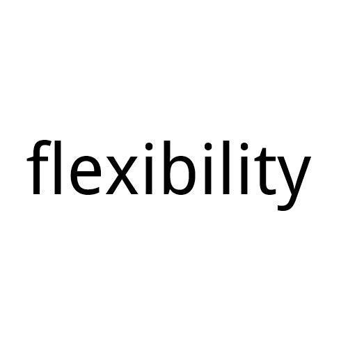 FLEXIBILITY