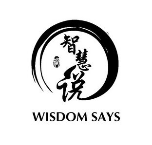 智 智慧说 WISDOM SAYS