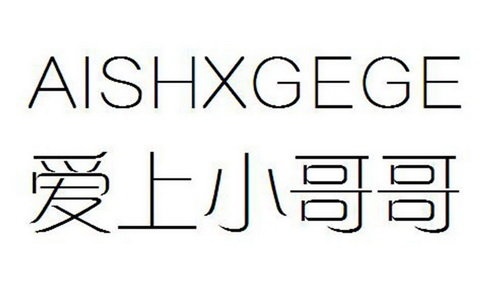 爱上小哥哥 AISHXGEGE