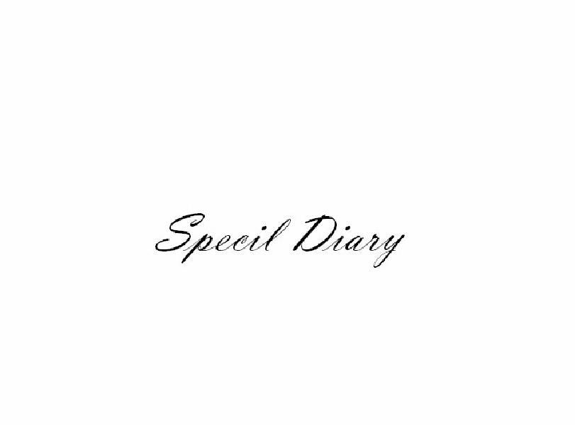 SPECIAL DIARY