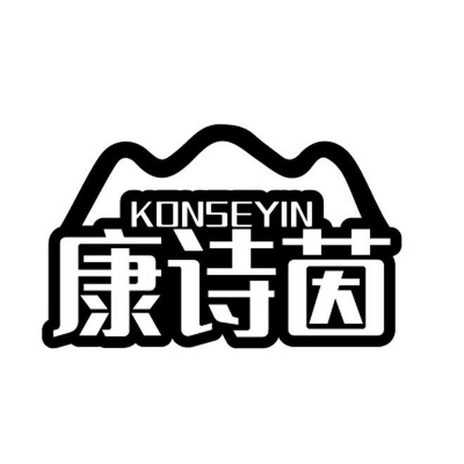 康诗茵 KONSEYIN