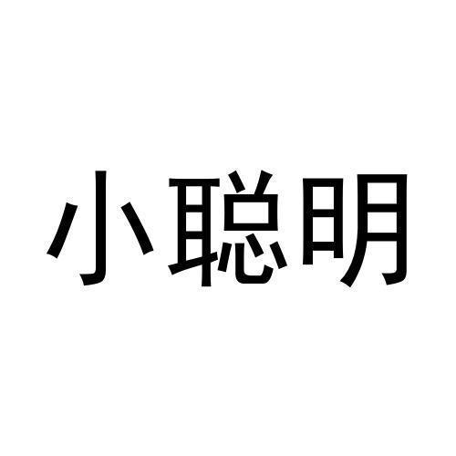 小聪明