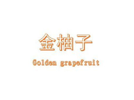 金柚子 GOLDEN GRAPEFRUIT