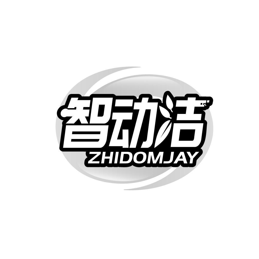 智动洁 ZHIDOMJAY