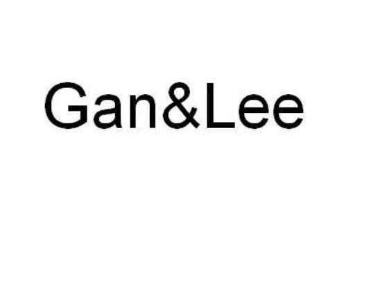GAN&LEE