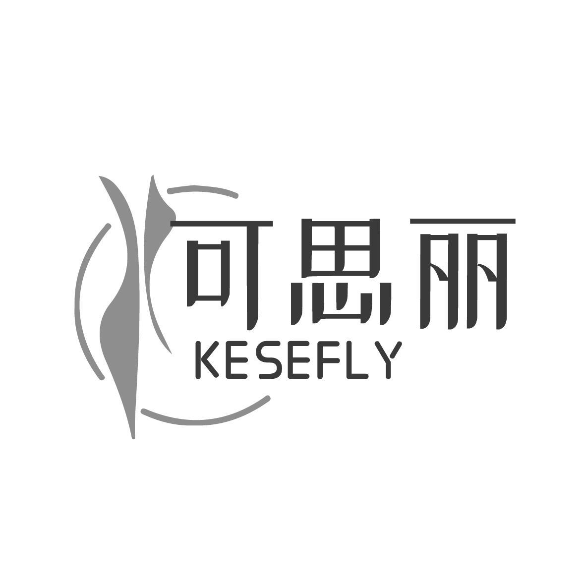 可思丽 KESEFLY