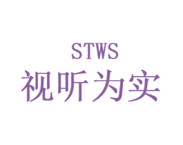 视听为实 STWS