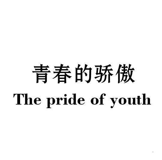 青春的骄傲 THE PRIDE OF YOUTH