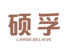 硕孚 LARGE BELIEVE