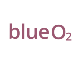 BLUEO 2